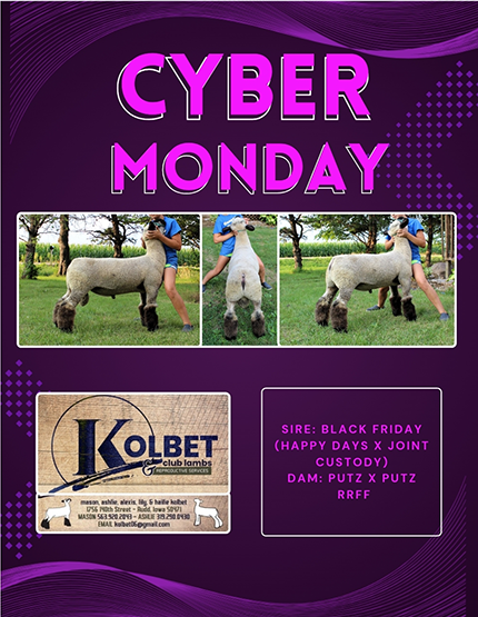 Cyber Monday