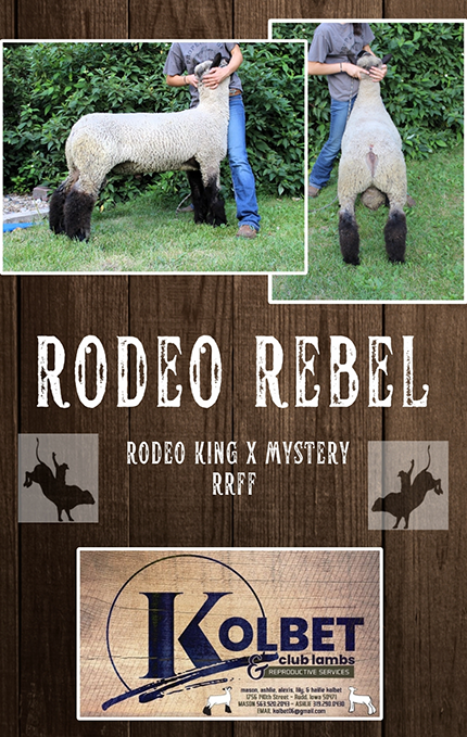 Rodeo Rebel
